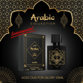 Perfume Arabic Collection Nº 010 25ml