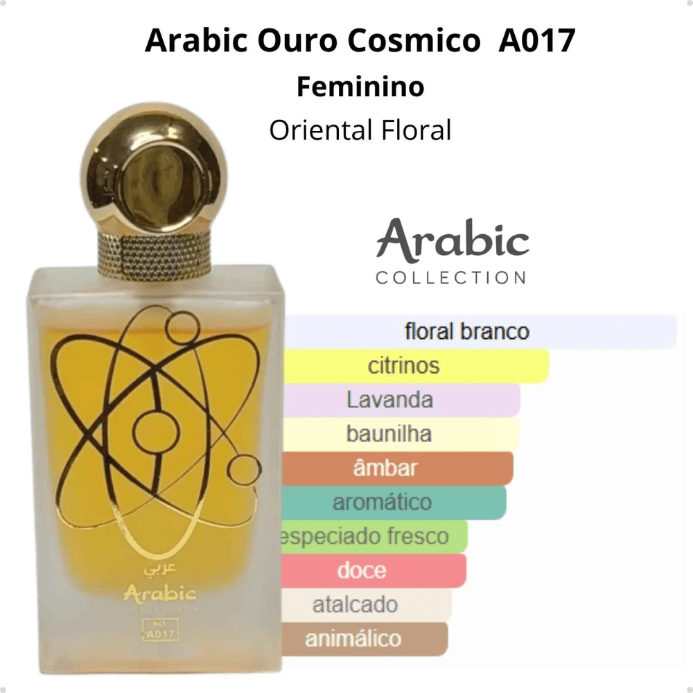 Perfume Arabic Collection Nº 017 25ml