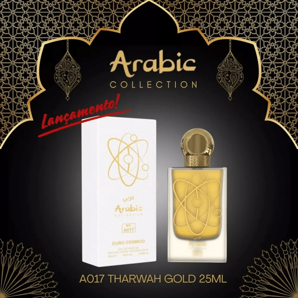Perfume Arabic Collection Nº 017 25ml
