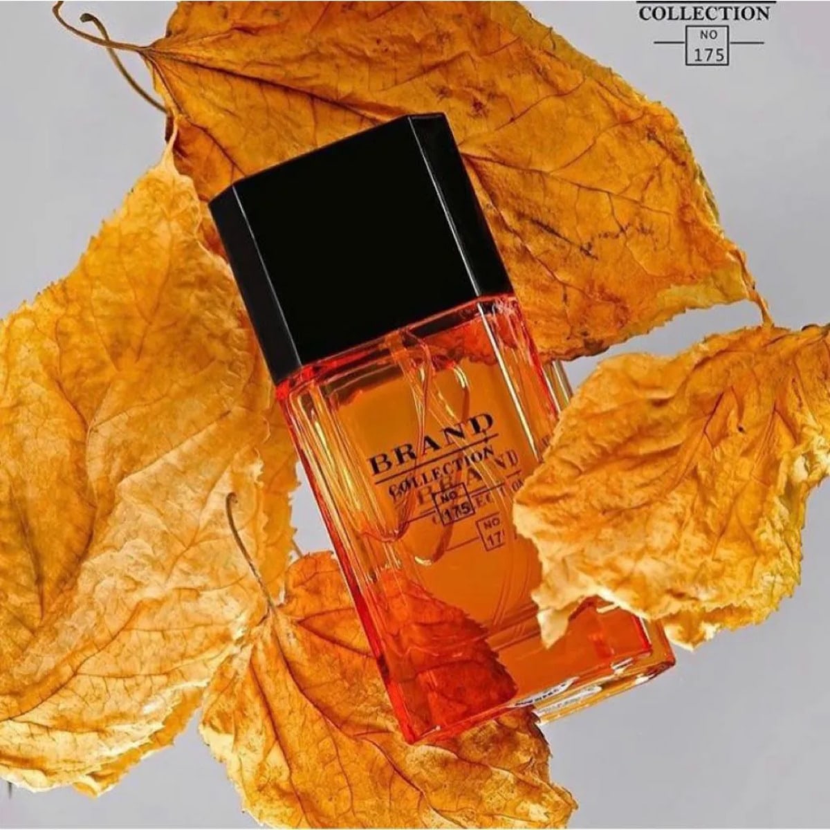 Perfume Brand Collection Nº 175 25ml
